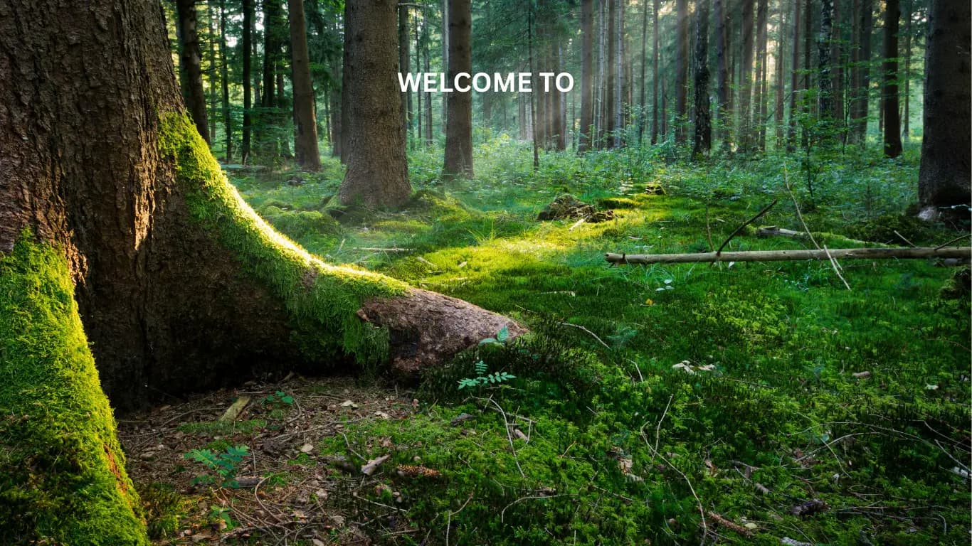 The lush landscapes of Kannauj