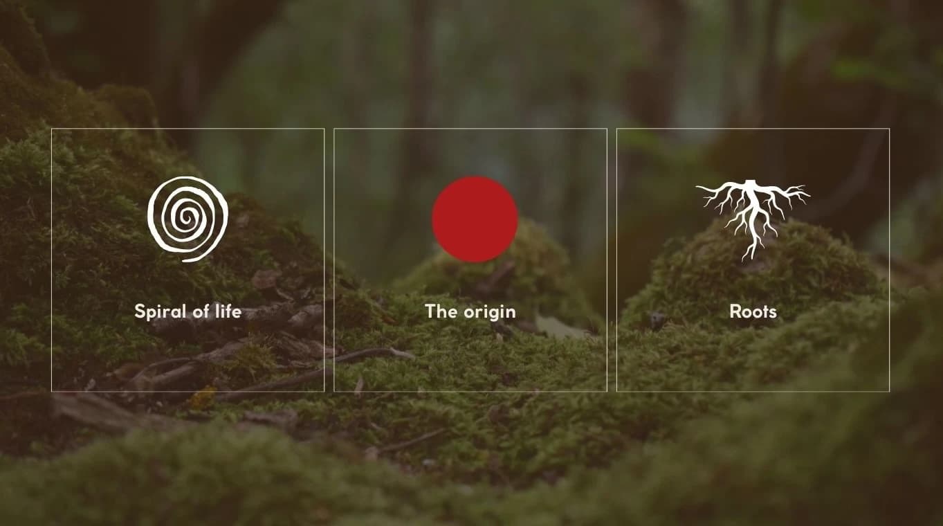 The journey from root to vein